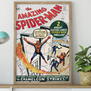 1963 Spider Man Comic Book Covers Poster