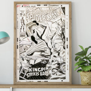 Spider-Man Cover 1970