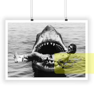 Jaws Universal 1975