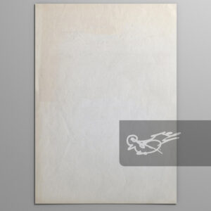 Warner Bros. Letterhead Background