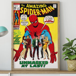 The Amazing Spider-Man 87 Marvel 1970